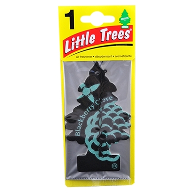 Picture of LITTLE TREE BLACKBERRY CLOVE (U1P-17343)